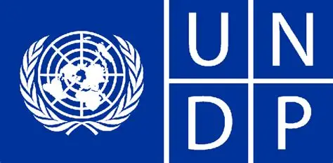UNDP Provides Roadmap for Ghana's AI Revolution and Economic Transformation 2 OIP 4 5