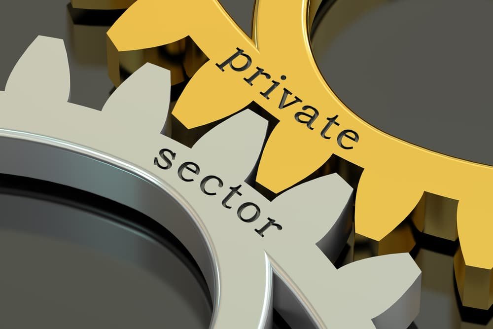 What is the private sector