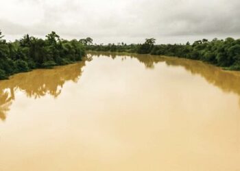 Polluted  River
