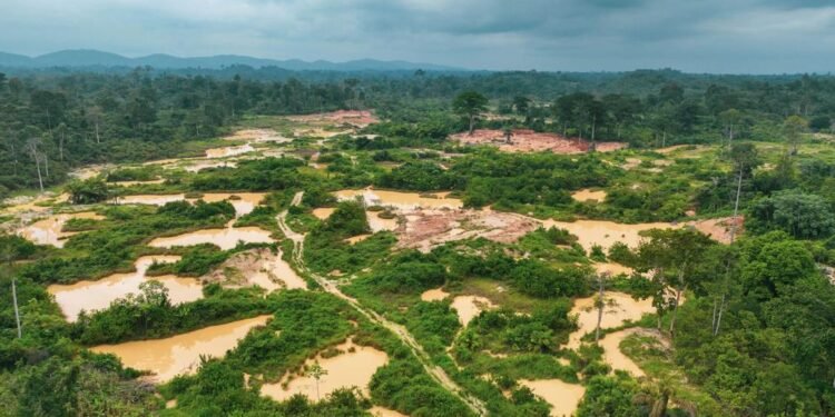 Galamsey Impact of farms in the Ashanti Region