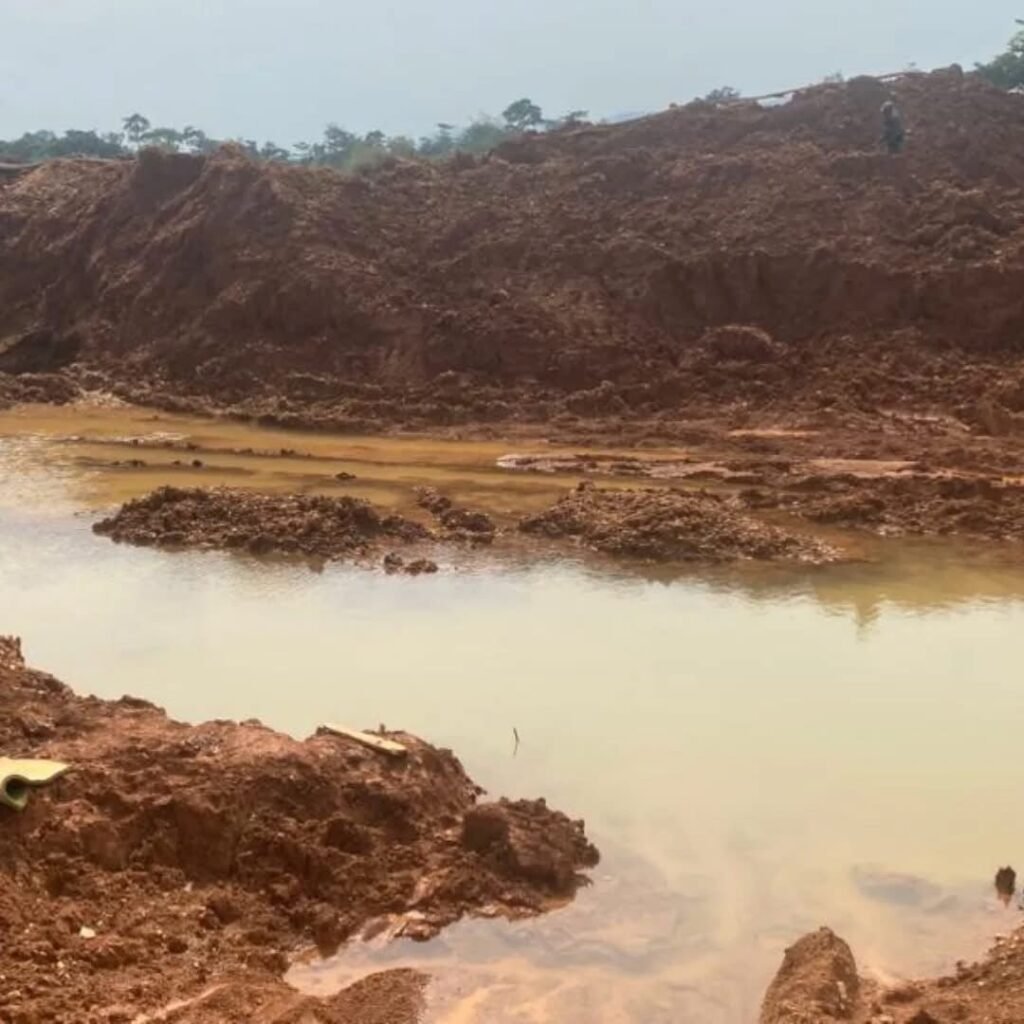 WhatsApp Image 2025 12 05 at 07.26.24 cc81b150