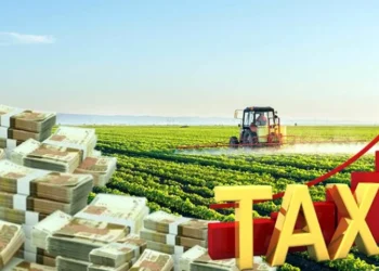 20% Excise Duty Could Cripple Ghana’s Agro-Industrial Ambitions, Agribusiness Chamber Warns