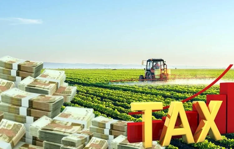 20% Excise Duty Could Cripple Ghana’s Agro-Industrial Ambitions, Agribusiness Chamber Warns