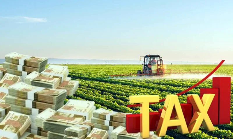 20% Excise Duty Could Cripple Ghana’s Agro-Industrial Ambitions, Agribusiness Chamber Warns 1 20% Excise Duty Could Cripple Ghana’s Agro-Industrial Ambitions, Agribusiness Chamber Warns