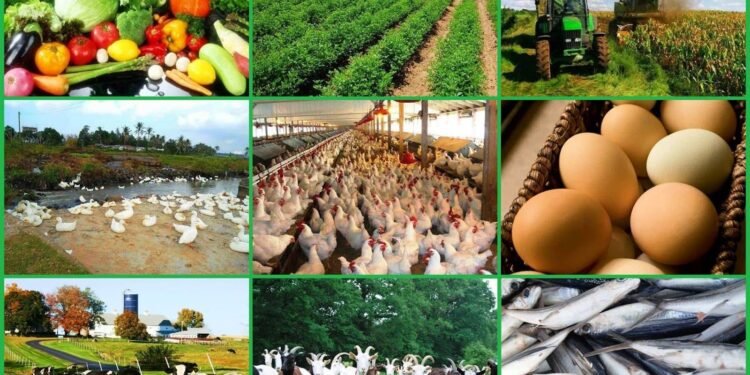 Ghana promotes Agribusiness