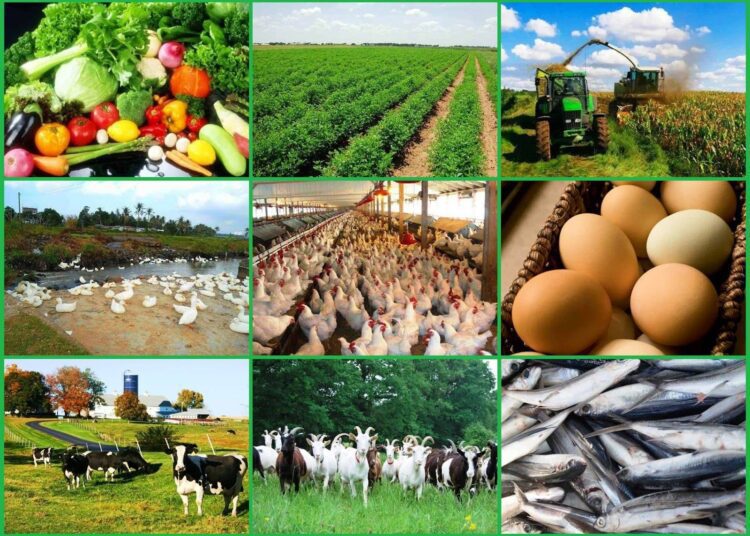Ghana Commits to Boost Agribusiness as Global Market Swells 1 Ghana promotes Agribusiness