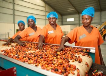 Central Oil Mills Limited in Jukwa Mfuom