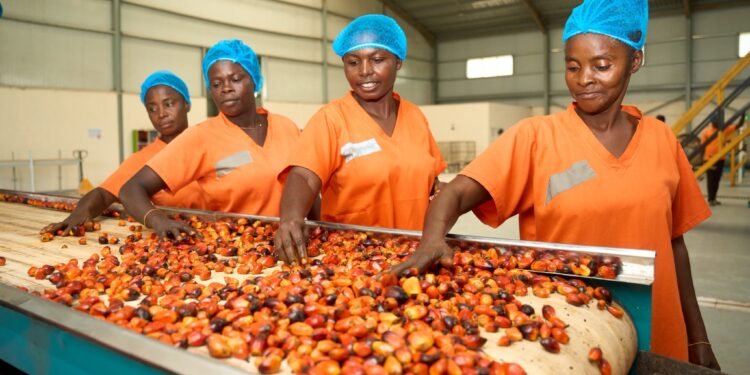 Central Oil Mills Limited in Jukwa Mfuom