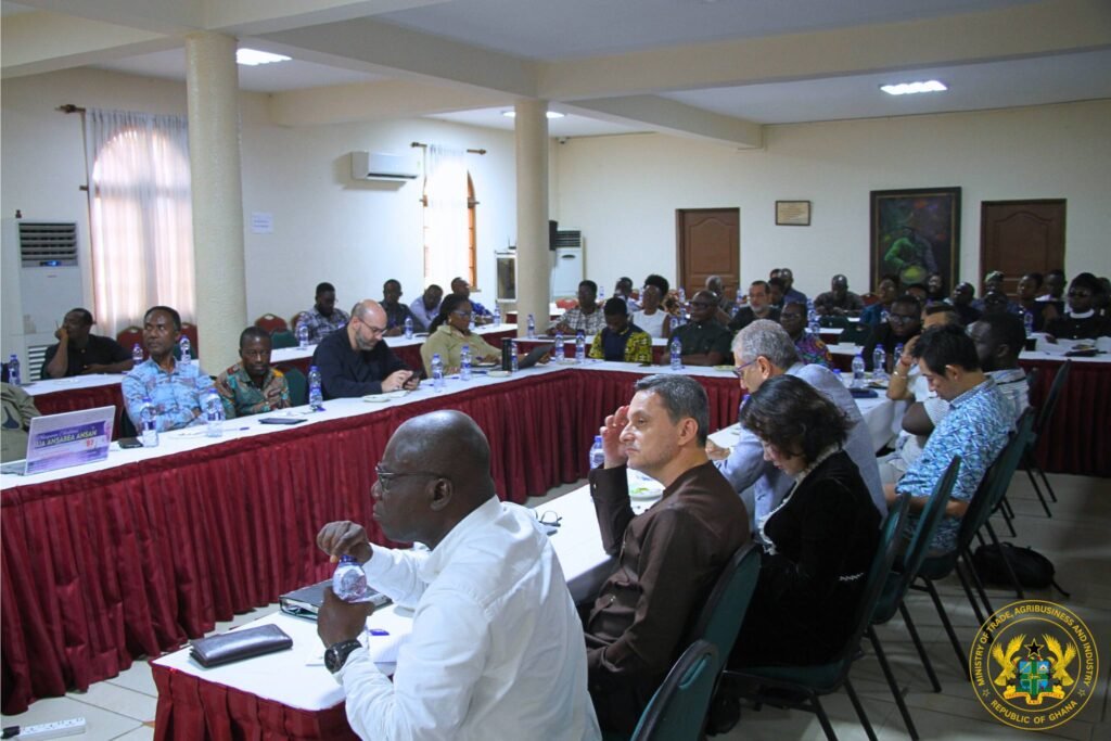 619270908 1281534427335288 984328189064018071 n