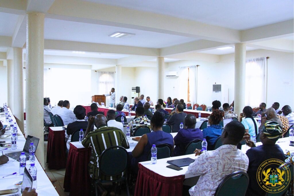 619988464 1281534717335259 1051538291757300683 n