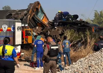 AP26014188770638 1768368416