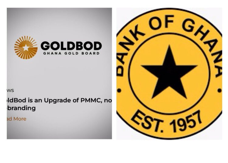 GoldBod Deploys Independent Business Model Following Agency Agreement Conclusion 1 WhatsApp Image 2026 01 07 at 4.05.38 PM