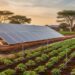 Ghana Advances Green Transition With Solar-Powered Irrigation Projects 15 Solar-Powered Irrigation