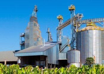 African Development Bank Expands Agro-Industrial Alliance