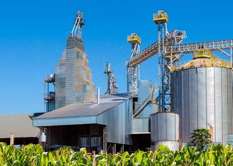 African Development Bank Expands Agro-Industrial Alliance