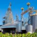 African Development Bank Expands Agro-Industrial Alliance