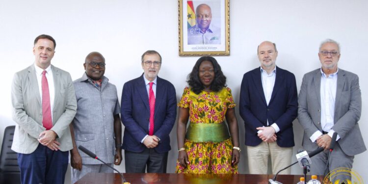 634966019 1301982868623777 7452425677034036918 n