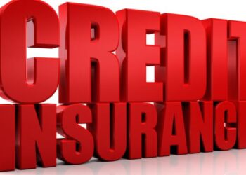 Survey Flags Structural Credit Insurance Shift