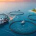 Government Moves To Implement Fisheries Act 1146 14 Fisheries and Aquaculture Development