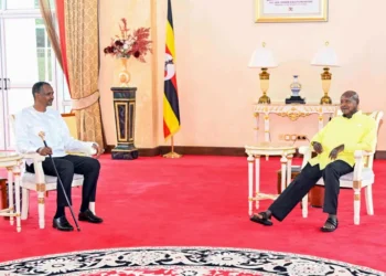 afp 699b1623266e 1771771427