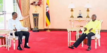 afp 699b1623266e 1771771427