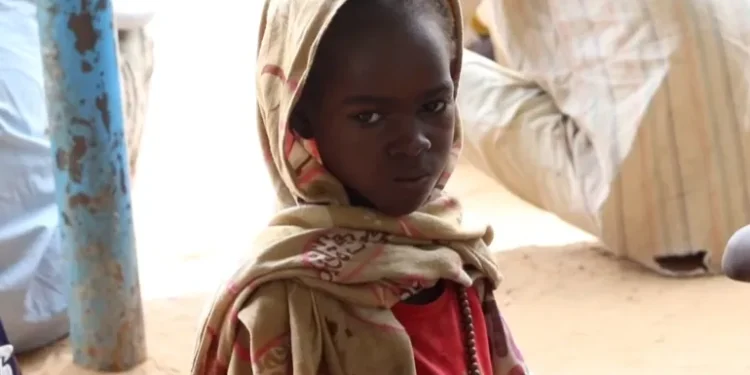 child girl sudan el fasher starvation hunger rsf siege 1756496286