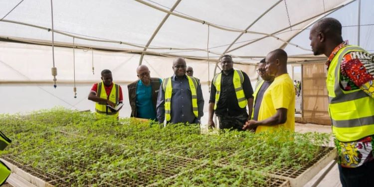 3,000 Tonnes: Maphlix Leads Ghana’s Tomato Recovery 1 Hon. Eric Opoku, Minister for Food and Agriculture at the Maphlix Facility