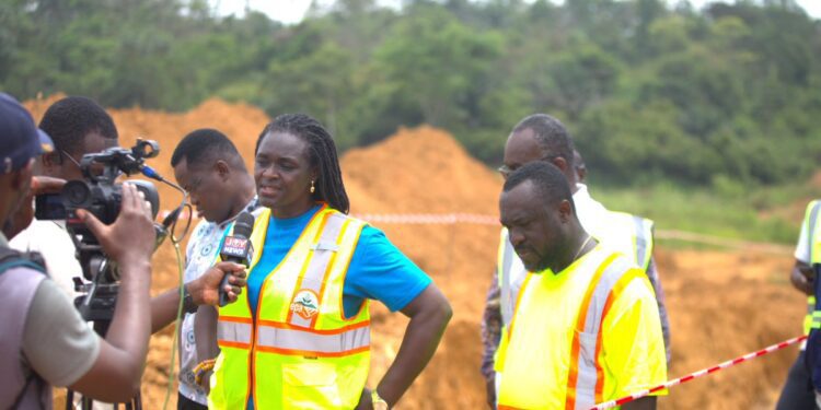 IMANI Questions EPA's Costly River Dechemicalisation Plan 1 Professor Nana Ama Brown Klutse, CEO of the Environmental Protection Authority