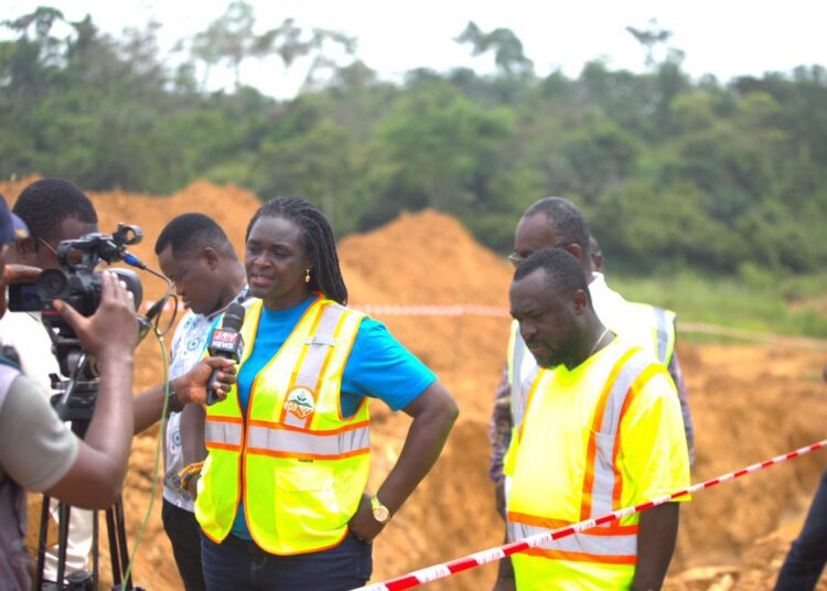Professor Nana Ama Brown Klutse, CEO of the Environmental Protection Authority