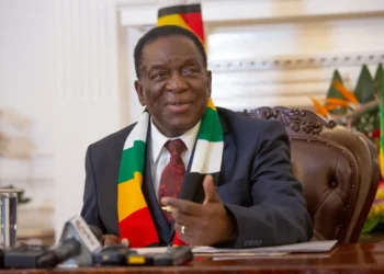 His Excellency Emmerson Mnangagwa