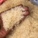 Local Rice