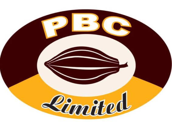 Court Clears Banks To Sell PBC Assets 2 PBC Limited 566x424 1