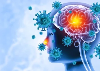Brain Viral Infection Meningitis