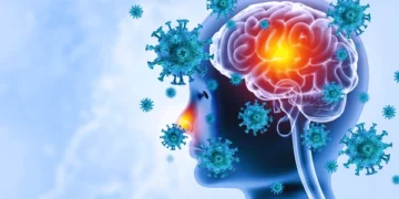 Brain Viral Infection Meningitis