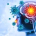 UKHSA Confirms Meningitis B Strain Behind Kent Outbreak 13 Brain Viral Infection Meningitis