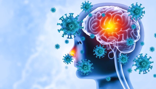 Brain Viral Infection Meningitis