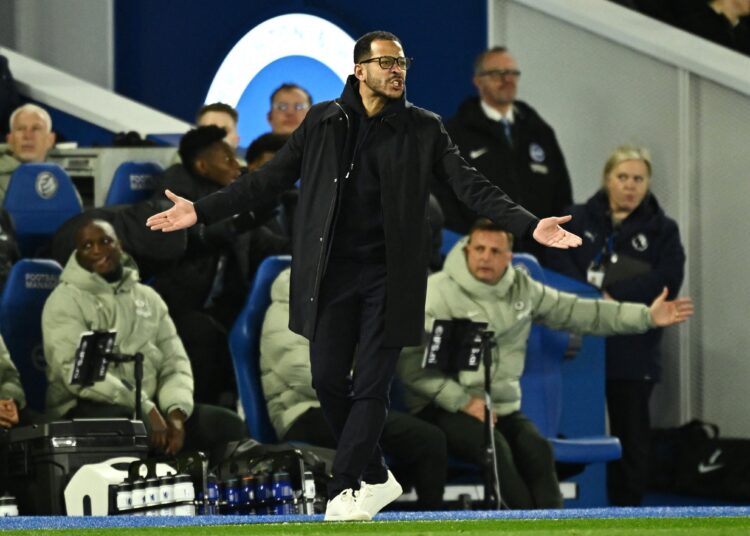 Liam Rosenior in his technical area at Stamford Bridge