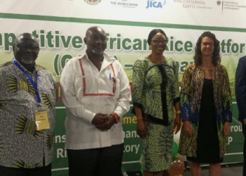 Competitive African Rice Platform, Ghana