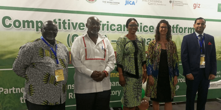 Breaking the 51% Gap: CARP Ghana’s Rice Strategy 1 Competitive African Rice Platform, Ghana