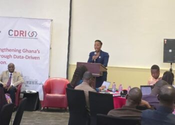 GIIF’s Deputy CEO, Mrs. Michelle Atta-MillsMrs. Michelle Atta-Mills, GIIF’s Deputy CEO, at the National Workshop