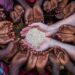 Global Food Security