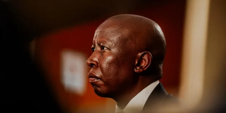 Julius Malema Granted Leave to Appeal Prison Sentence 1 South African opposition leader Julius Malema