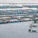GIPC, Maleka Farms Prove Excellent Aquaculture a Winning Bet 15 Maleka Farms Ltd.