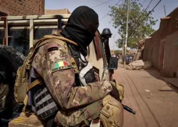 Malian Soldiers