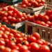 Ghana Welcomes Burkina Faso’s Decision to Lift Tomato Export Ban 14 Screenshot 20260402 085425 Chrome