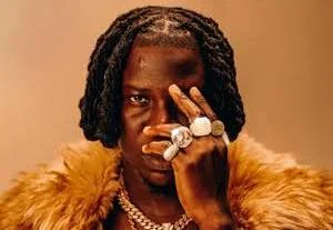 Stonebwoy-Dancehall Artiste