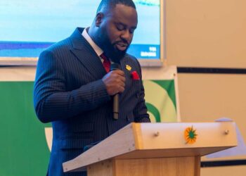 Deputy Executive Secretary of the Energy Commission, Chris Nanabanyin Yalley
