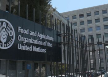 Food and Agriculture Organization of the United Nations (FAO)