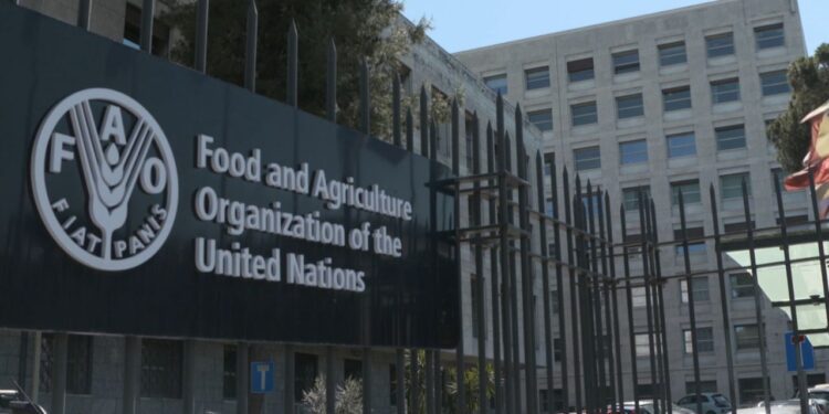 Food and Agriculture Organization of the United Nations (FAO)