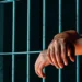Perth Man Jailed for Role in International Cocaine Importation Scheme 12 Gang
